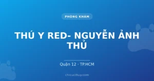 THÚ Y RED- NGUYỄN ẢNH THỦ