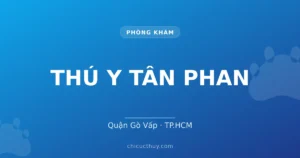 THÚ Y TÂN PHAN