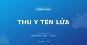 THÚ Y TÊN LỬA