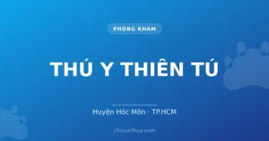 THÚ Y THIÊN TÚ