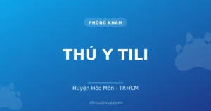 THÚ Y TILI