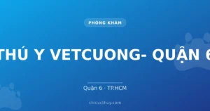 THÚ Y VETCUONG- QUẬN 6