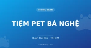 TIỆM PET BÁ NGHỆ