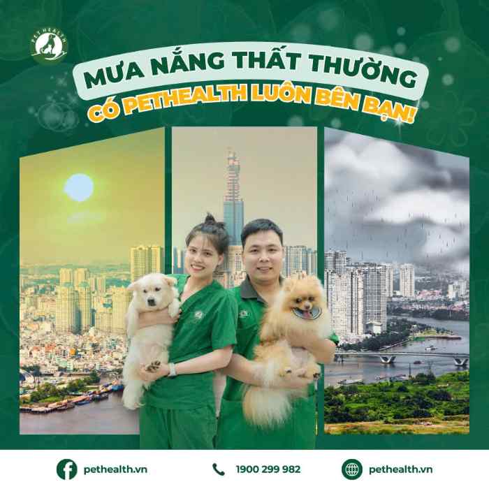 Dịch vụ thú y uy tín tại Hạ Long