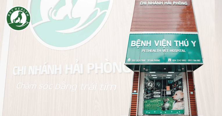 Dịch vụ thú y uy tín tại Hải Phòng