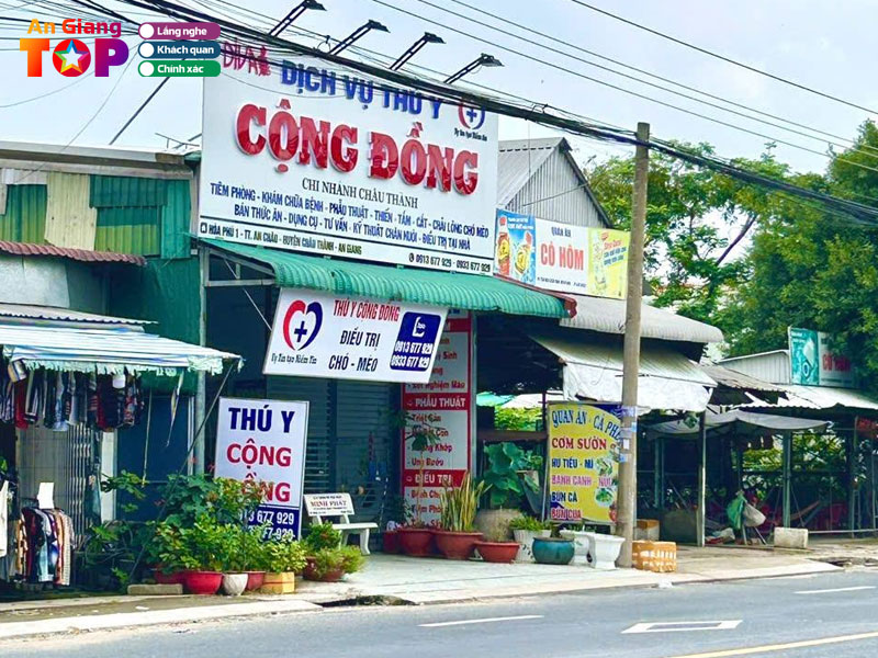 Dịch vụ thú y uy tín tại Long Xuyên