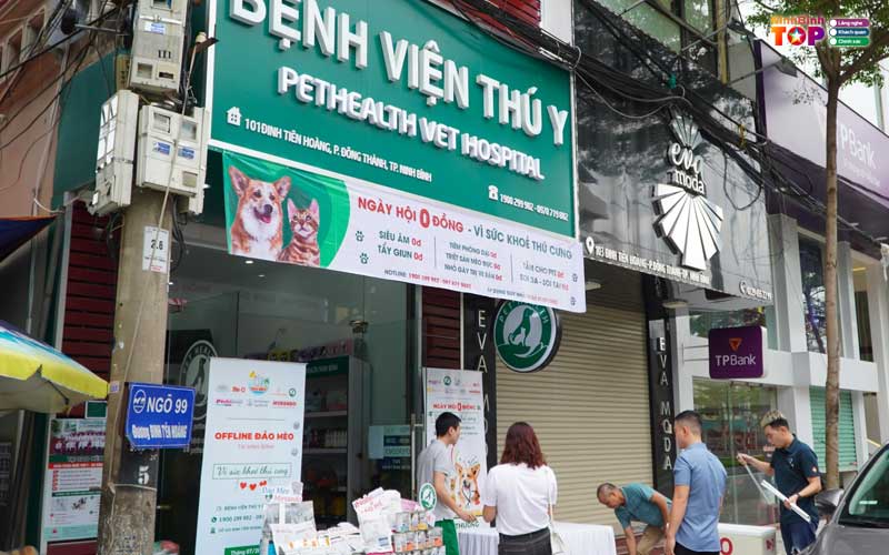 Dịch vụ thú y uy tín tại Ninh Bình