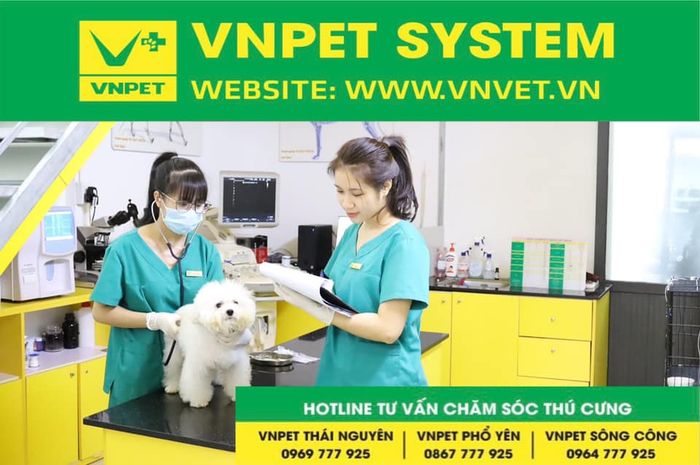 Dịch vụ thú y uy tín tại Thái Nguyên