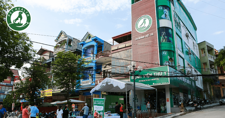 Dịch vụ thú y uy tín tại Việt Trì