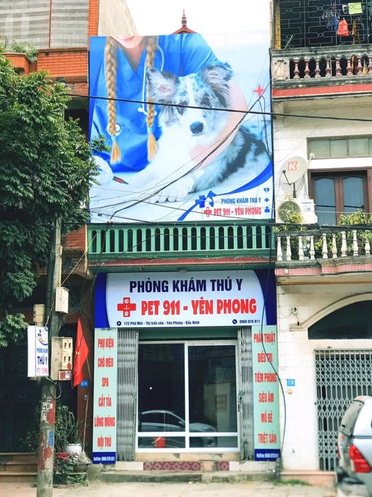 Dịch vụ thú y uy tín tại Bắc Ninh