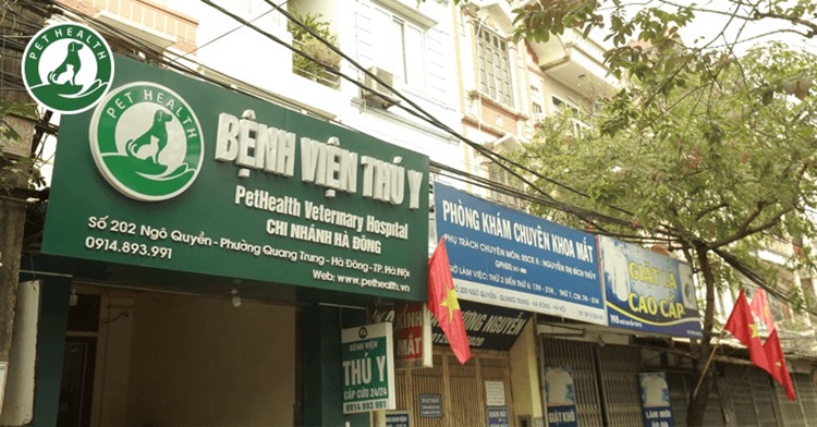 Dịch vụ thú y uy tín tại Đông Hà