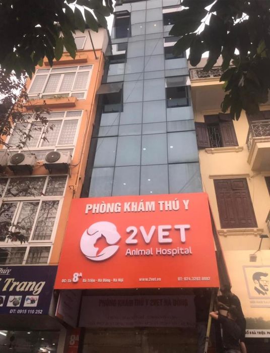 Dịch vụ thú y uy tín tại Đông Hà