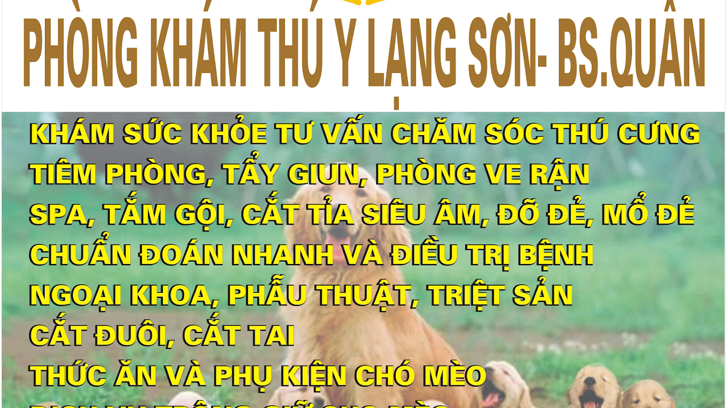 Dịch vụ thú y uy tín tại Lạng Sơn