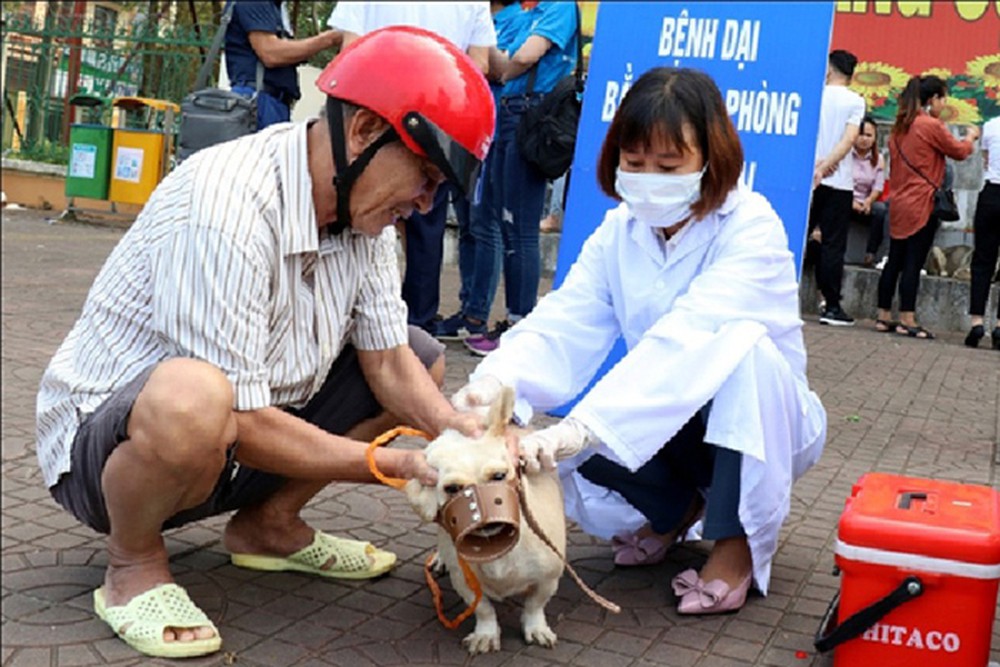 Dịch vụ thú y uy tín tại Tuyên Quang