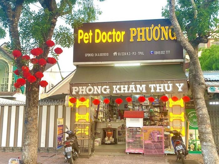 Dịch vụ thú y uy tín tại Vĩnh Long