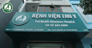 Trạm thú y phường Bắc Ninh 2, Bắc Ninh