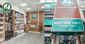 Trạm thú y phường Hải Phòng, Hải Phòng