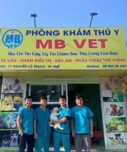 Trạm thú y phường Huế 2, Huế