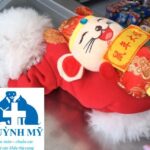 Trạm thú y phường Long Xuyên, An Giang