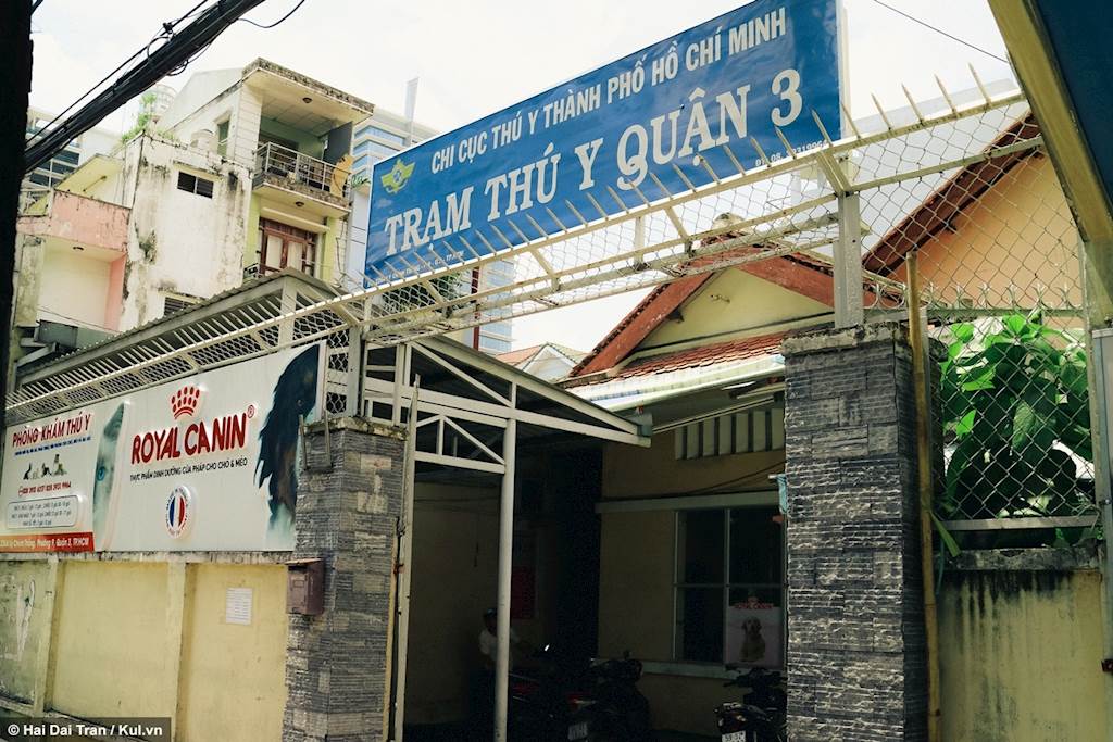 trạm thú y quận 3
