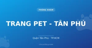 TRANG PET - TÂN PHÚ