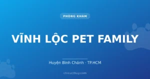 VĨNH LỘC PET FAMILY