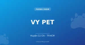 VY PET